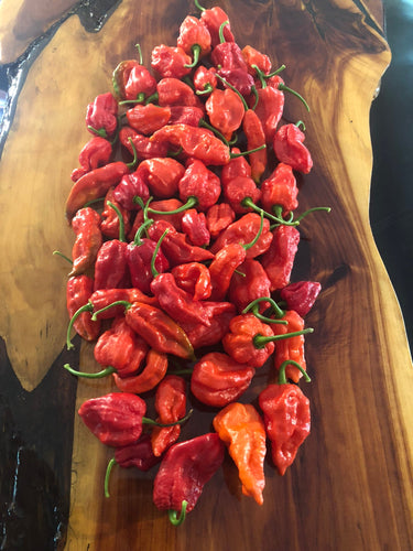 Fresh Carolina Reaper Peppers